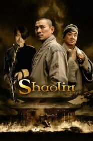 Shaolin 2011 one on netflix