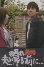 寝乱れ義母 夫の帰る前に 2003 one on netflix