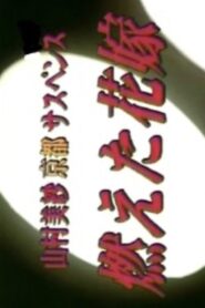 The Burning Bride 1999 one on netflix