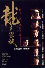 The Dragon Family 1988 one on netflix