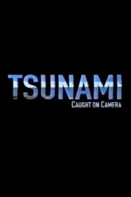 Tsunami: Caught on Camera 2009 one on netflix