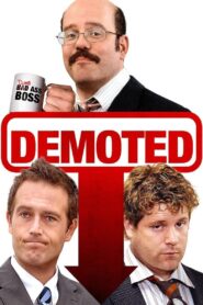Demoted 2011 one on netflix