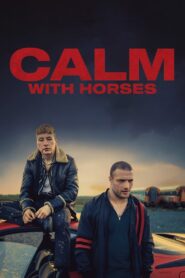 Calm with Horses 2020 one on netflix