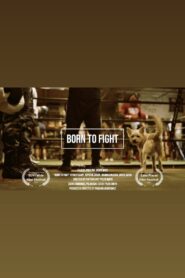 Born to Fight 2022 one on netflix