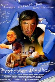 Professor Niedlich 2001 one on netflix