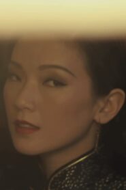 SHOOTING PAMELYN CHEE 2010 one on netflix