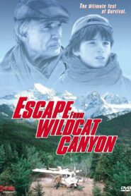 Escape from Wildcat Canyon 1998 one on netflix