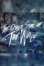 The Other Side of the Wall 1982 one on netflix