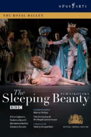The Sleeping Beauty 2006 one on netflix