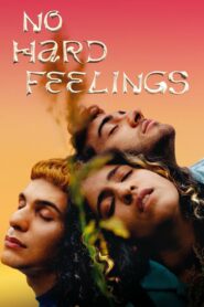 No Hard Feelings 2020 one on netflix