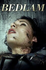 Bedlam 2015 one on netflix