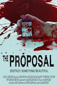 The Proposal 2012 one on netflix