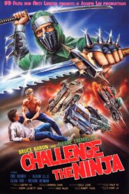 Challenge of the Ninja 1986 one on netflix