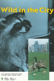 Wild in the City 1986 one on netflix