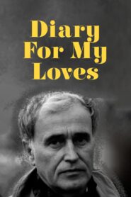 Diary for My Loves 1987 one on netflix