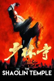 Shaolin Temple 1982 one on netflix