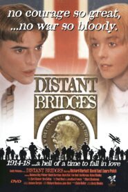Distant Bridges 1999 one on netflix