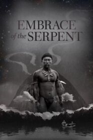 Embrace of the Serpent 2015 one on netflix