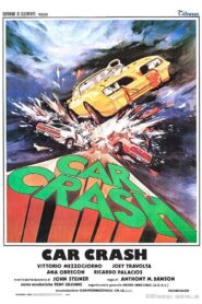 Car Crash 1981 one on netflix