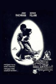 Dream Dress 1980 one on netflix