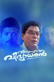 Vinayapoorvam Vidyadharan 2000 one on netflix