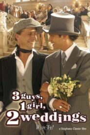 3 Guys, 1 Girl, 2 Weddings 2004 one on netflix