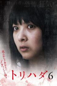 Torihada 6 ~ Yofukashi no anata ni zokutto suru hanashi wo~ 2009 one on netflix