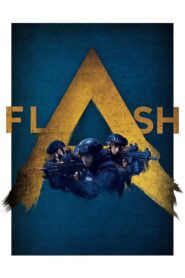 Flash 2020 one on netflix