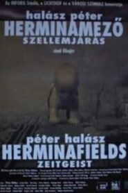 Herminafields – Zeitgeist 2006 one on netflix