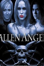 Fallen Angels 2002 one on netflix