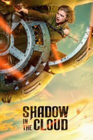 Shadow in the Cloud 2020 one on netflix
