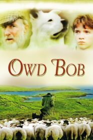 Owd Bob 1998 one on netflix