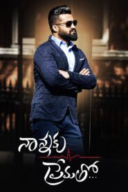 Nannaku Prematho… 2016 one on netflix