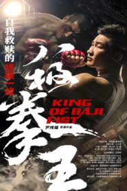 King of Baji Fist 2023 one on netflix