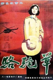 Camel Grass 1983 one on netflix