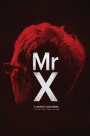 Mr. X 2014 one on netflix