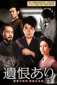 The Last Revenge 2011 one on netflix