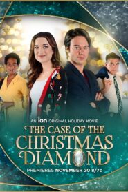 The Case of the Christmas Diamond 2022 one on netflix