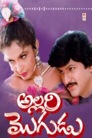 Allari Mogudu 1992 one on netflix