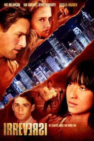 Irreversi 2009 one on netflix