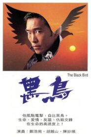 The Black Bird 1996 one on netflix