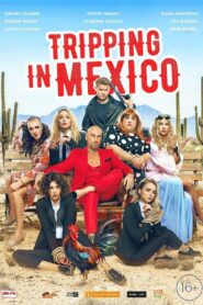 Tripping in Mexico 2019 one on netflix