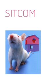 Sitcom 1998 one on netflix