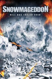 Snowmageddon 2011 one on netflix