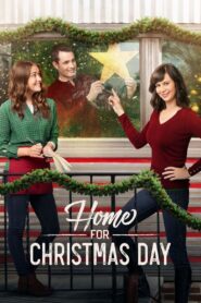 Home for Christmas Day 2017 one on netflix
