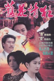 Love Quadrangle 1993 one on netflix