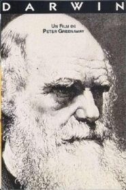 Darwin 1992 one on netflix