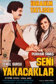 Seni Yakacaklar 1981 one on netflix