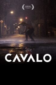 Cavalo 2020 one on netflix