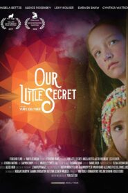 The Secret 2017 one on netflix